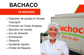 Carrera profesional en Bachoco Descubre oportunidades en la industria avícola