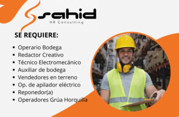 Empleo en Sahid Consulting Tu Oportunidad de Brillar