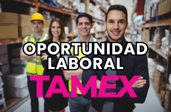 Construye tu Carrera con Distribuidora Tamex Descubre Nuevas Oportunidades Laborales