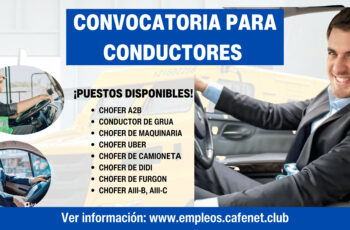 Se buscan Choferes para integrar nuestro equipo. ¡Descubre lo que podemos ofrecerte!