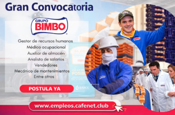 Oportunidad de Empleo en Bimbo