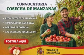 Trabaja en la Cosecha de Manzanas en España: Vacantes Disponibles  2026 🇪🇸