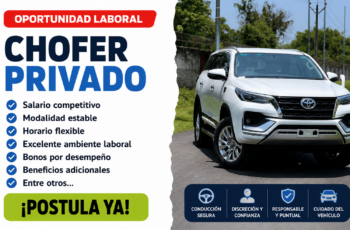 Chofer Privado: Funciones, Perfil y Condiciones de Trabajo