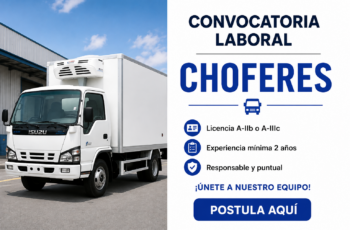 Se Buscan Choferes de Camión: Conoce los Requisitos, Funciones y Beneficios de las Vacantes