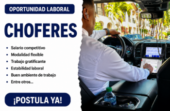 Trabajo para Choferes: Funciones, Requisitos y Oportunidades
