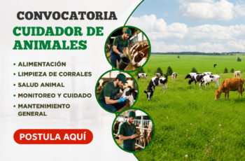 Nuevas Vacantes para Cuidadores de Animales: Requisitos y Funciones